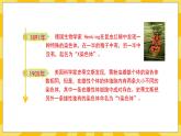 北京版生物八年级上册 11.3人类的遗传  课件