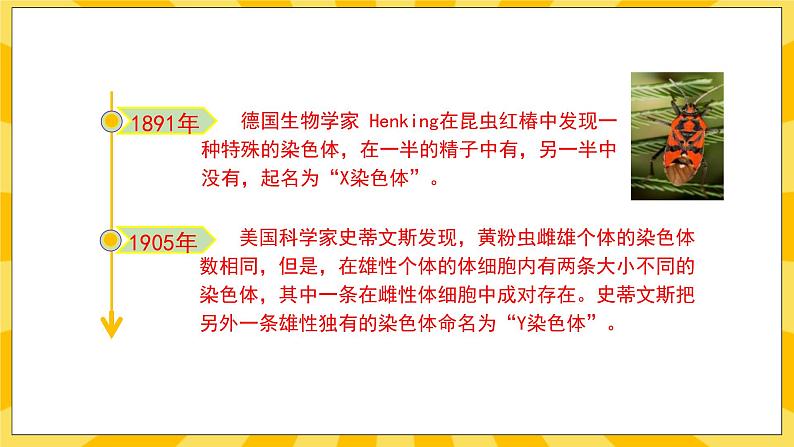 北京版生物八年级上册 11.3人类的遗传  课件03