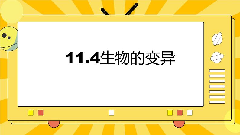 北京版生物八年级上册 11.4生物的变异  课件01