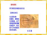 北京版生物八年级上册 12.2人类的起源与进化 课件