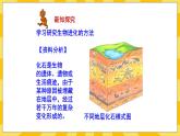 北京版生物八年级上册 12.2人类的起源与进化 课件