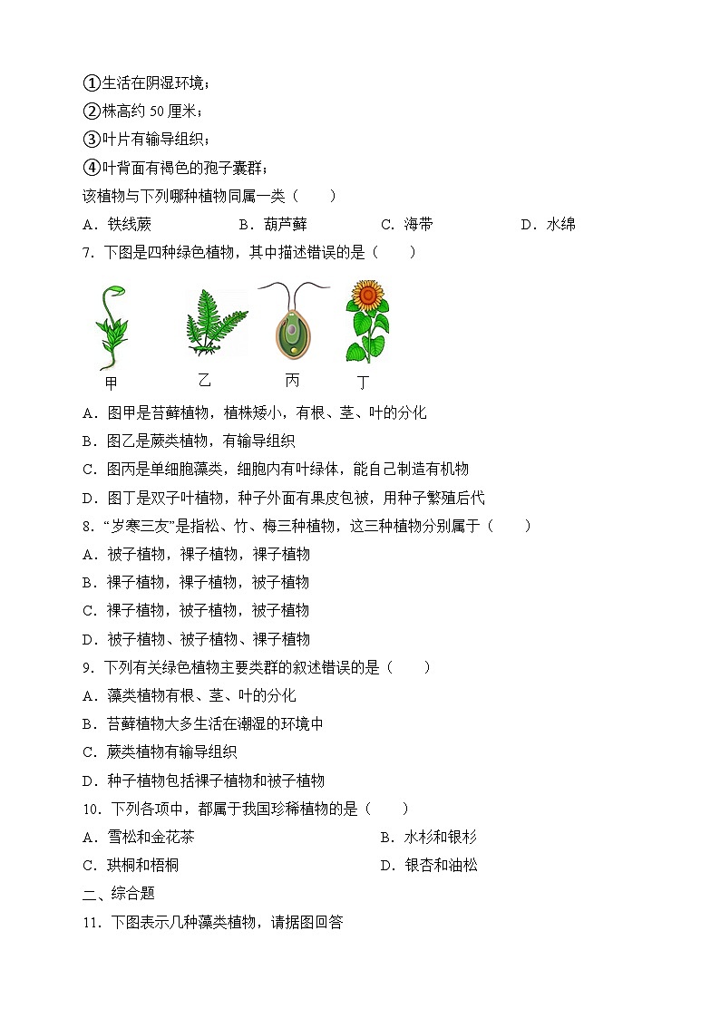 苏教版生物八上 5.14.1《五彩缤纷的植物世界》课件+学案+练习（原卷版+解析卷）02