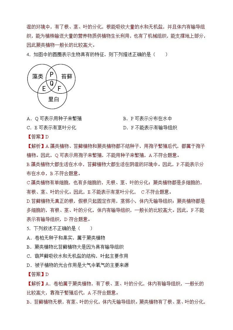苏教版生物八上 5.14.1《五彩缤纷的植物世界》课件+学案+练习（原卷版+解析卷）02