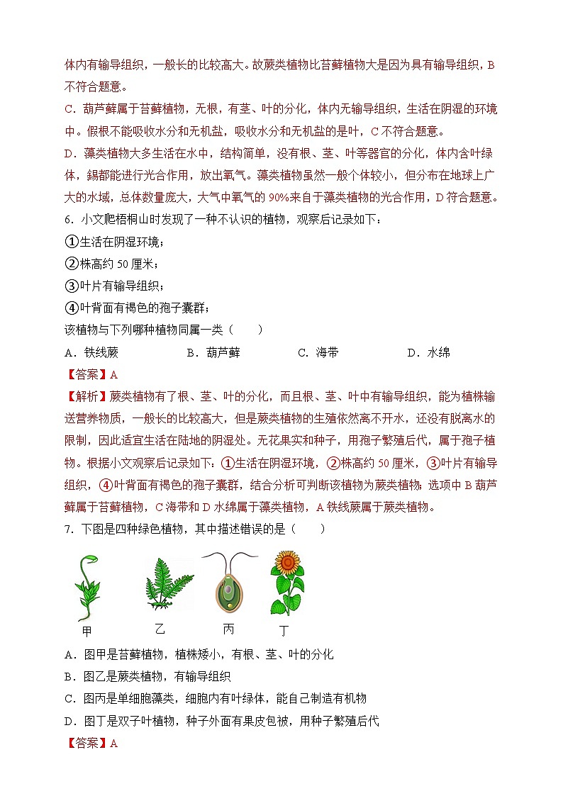 苏教版生物八上 5.14.1《五彩缤纷的植物世界》课件+学案+练习（原卷版+解析卷）03