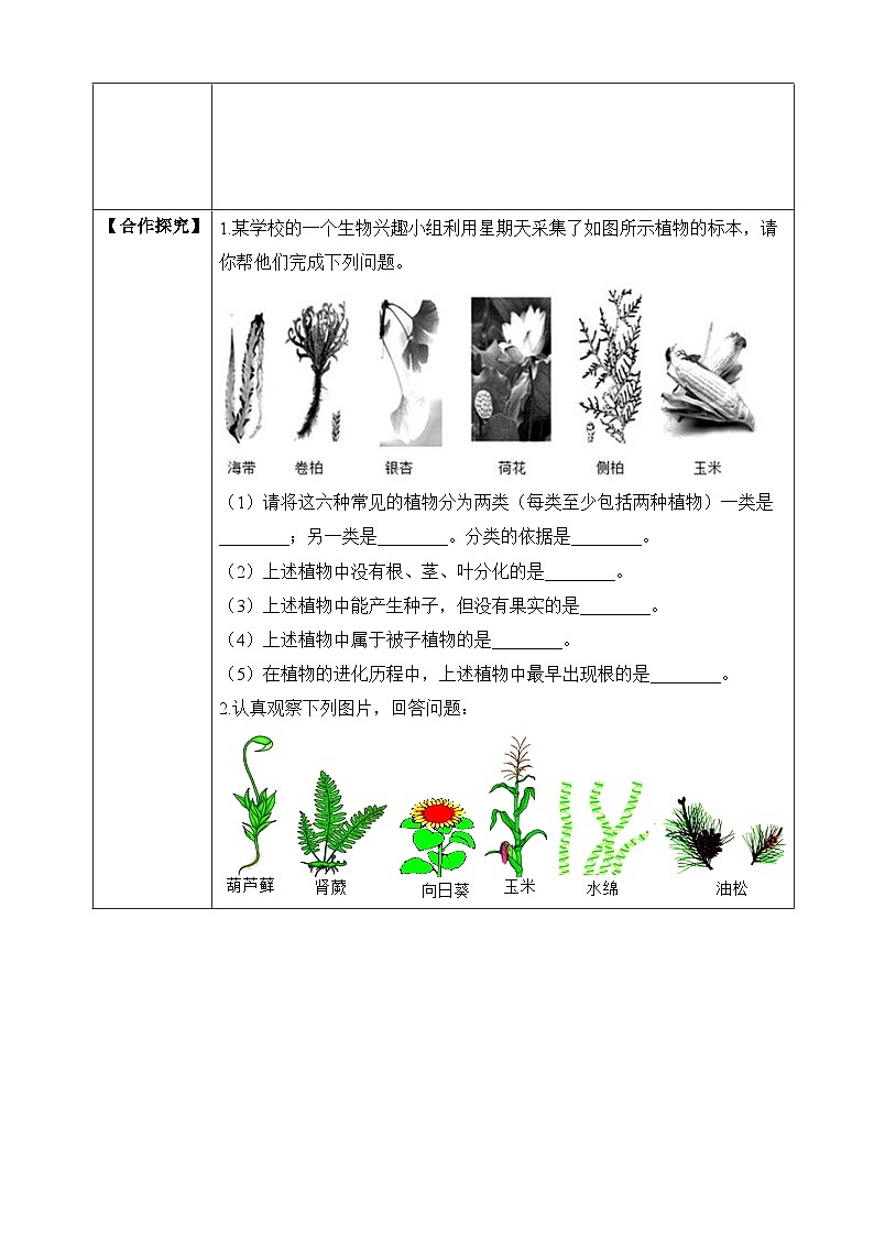 苏教版生物八上 5.14.1《五彩缤纷的植物世界》课件+学案+练习（原卷版+解析卷）02