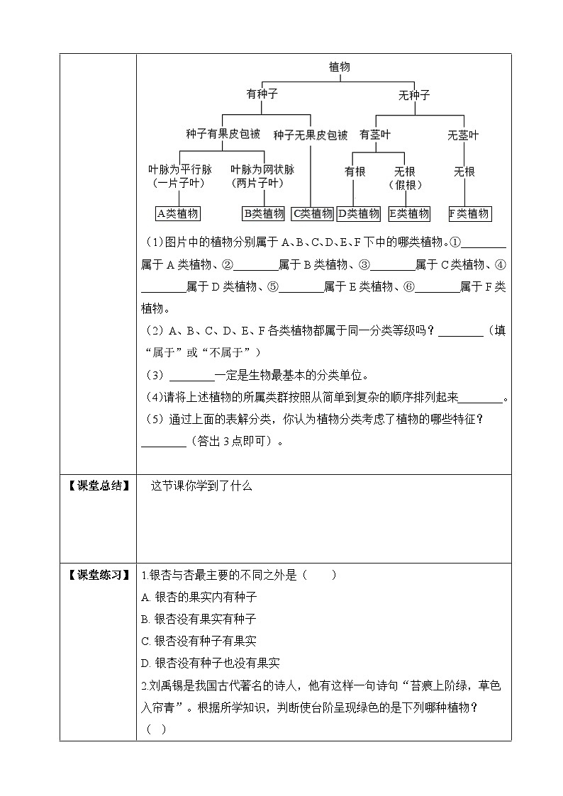苏教版生物八上 5.14.1《五彩缤纷的植物世界》课件+学案+练习（原卷版+解析卷）03