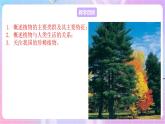 苏教版生物八上 5.14.1《五彩缤纷的植物世界》课件+学案+练习（原卷版+解析卷）