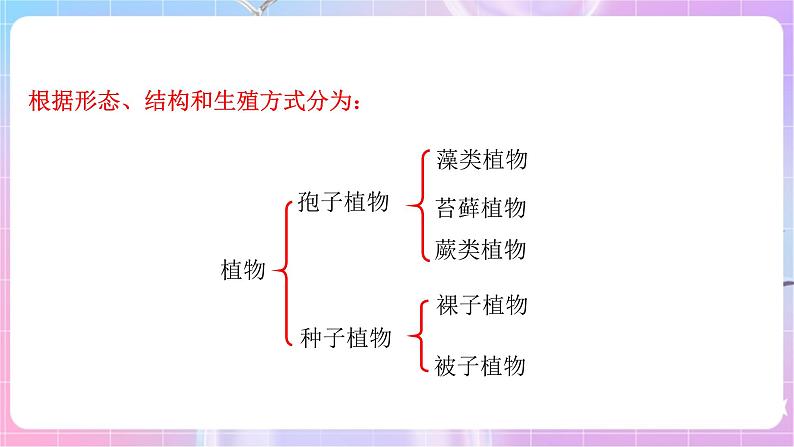 苏教版生物八上 5.14.1《五彩缤纷的植物世界》课件+学案+练习（原卷版+解析卷）04