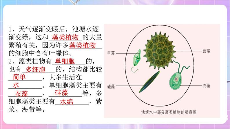 苏教版生物八上 5.14.1《五彩缤纷的植物世界》课件+学案+练习（原卷版+解析卷）06