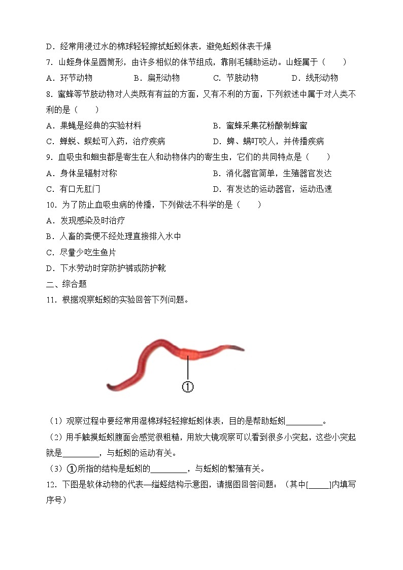 苏教版生物八上 5.14.2《千姿百态的动物世界（一）》课件+学案+练习（原卷版+解析卷）02