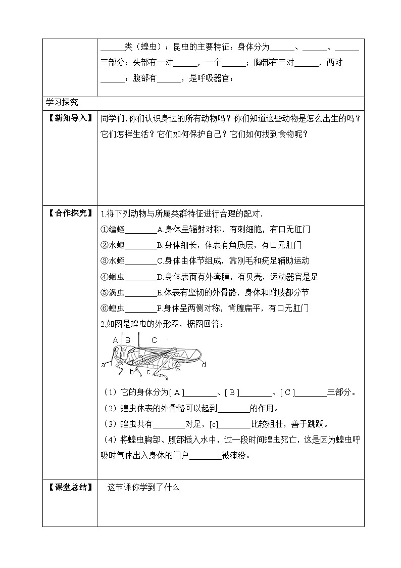 苏教版生物八上 5.14.2《千姿百态的动物世界（一）》课件+学案+练习（原卷版+解析卷）02