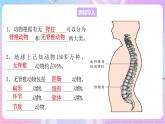 苏教版生物八上 5.14.2《千姿百态的动物世界（一）》课件+学案+练习（原卷版+解析卷）