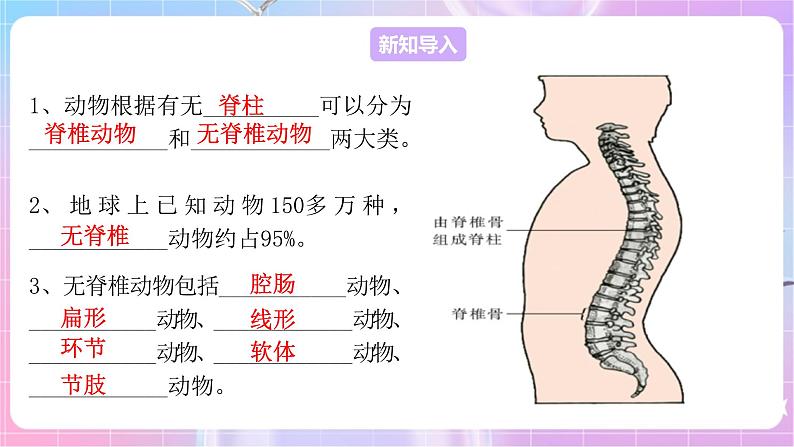 苏教版生物八上 5.14.2《千姿百态的动物世界（一）》课件+学案+练习（原卷版+解析卷）03