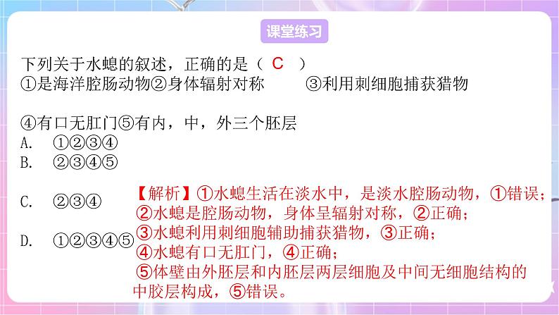 苏教版生物八上 5.14.2《千姿百态的动物世界（一）》课件+学案+练习（原卷版+解析卷）08