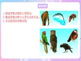 苏教版生物八上 5.14.2《千姿百态的动物世界（二）》课件+学案+练习（原卷版+解析卷）