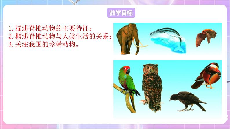 苏教版生物八上 5.14.2《千姿百态的动物世界（二）》课件+学案+练习（原卷版+解析卷）02