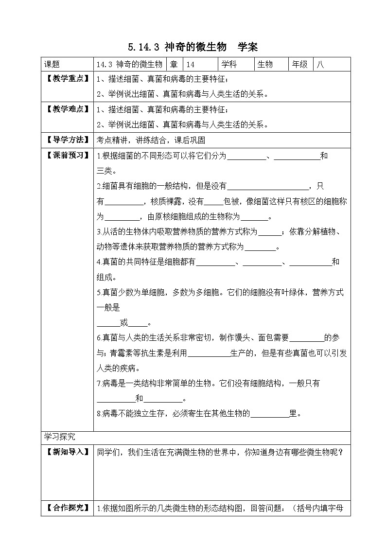 苏教版生物八上 5.14.3《神奇的微生物》课件+学案+练习（原卷版+解析卷）01