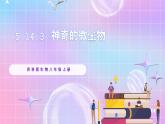 苏教版生物八上 5.14.3《神奇的微生物》课件+学案+练习（原卷版+解析卷）