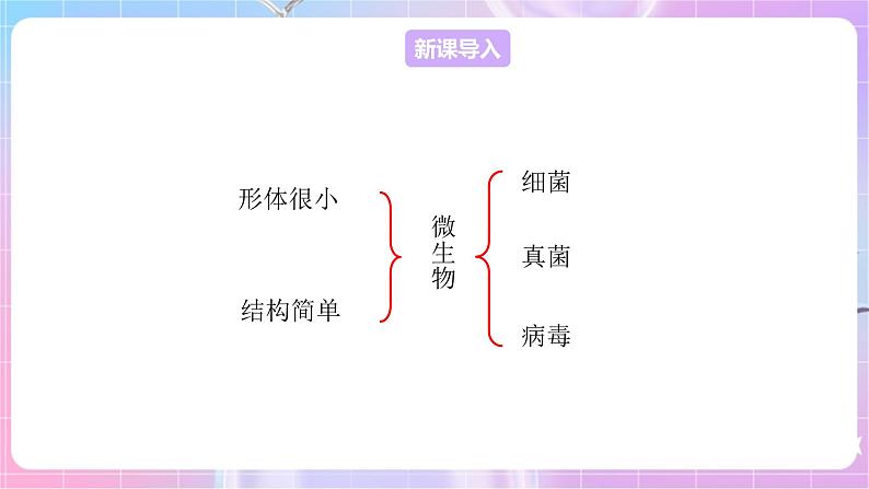 苏教版生物八上 5.14.3《神奇的微生物》课件+学案+练习（原卷版+解析卷）03