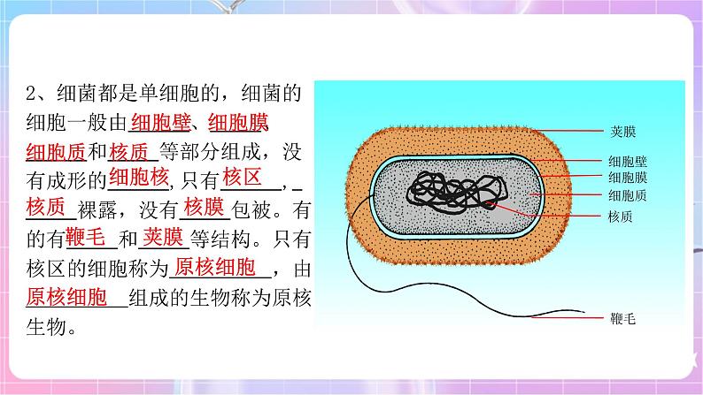 苏教版生物八上 5.14.3《神奇的微生物》课件+学案+练习（原卷版+解析卷）05