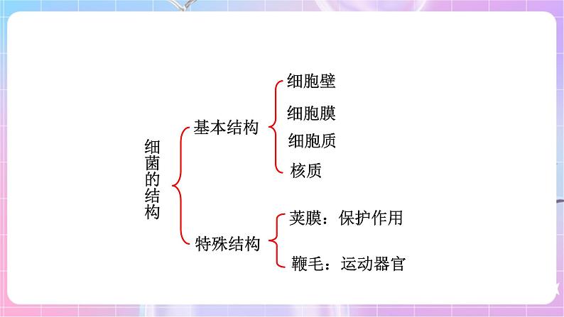 苏教版生物八上 5.14.3《神奇的微生物》课件+学案+练习（原卷版+解析卷）06