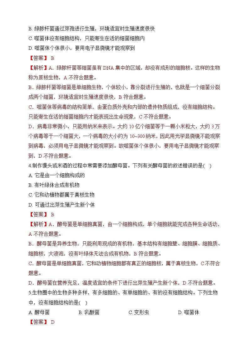 苏教版生物八上 5.14.3《神奇的微生物》课件+学案+练习（原卷版+解析卷）02