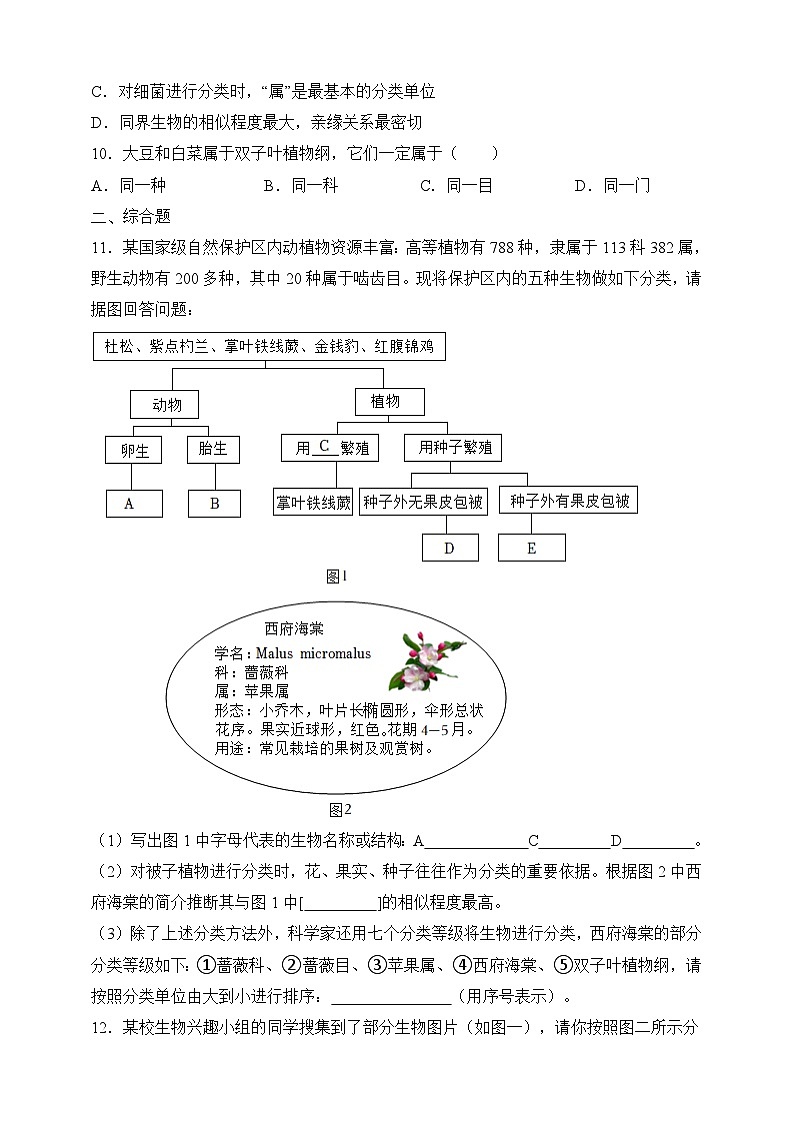 苏教版生物八上 5.14.4《生物的分类》课件+学案+练习（原卷版+解析卷）03