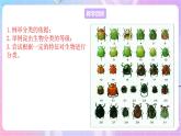 苏教版生物八上 5.14.4《生物的分类》课件+学案+练习（原卷版+解析卷）