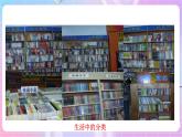 苏教版生物八上 5.14.4《生物的分类》课件+学案+练习（原卷版+解析卷）