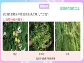 苏教版生物八上 5.15.1《生物多样性》课件+学案+练习（原卷版+解析卷）