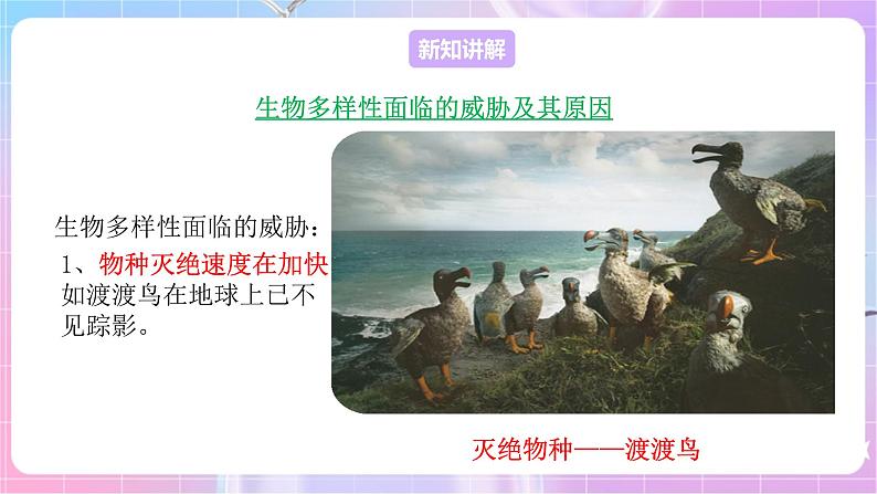 苏教版生物八上 5.15.2《保护生物多样性的艰巨使命》课件+学案+练习（原卷版+解析卷）03