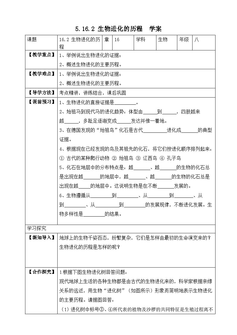 苏教版生物八上 5.16.2《生物进化的历程》课件+学案+练习（原卷版+解析卷）01