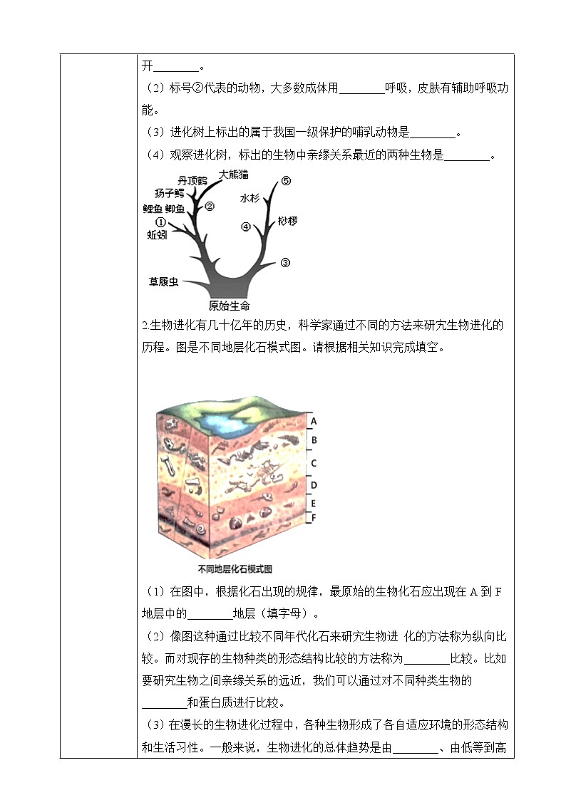 苏教版生物八上 5.16.2《生物进化的历程》课件+学案+练习（原卷版+解析卷）02