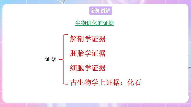 苏教版生物八上 5.16.2《生物进化的历程》课件+学案+练习（原卷版+解析卷）03