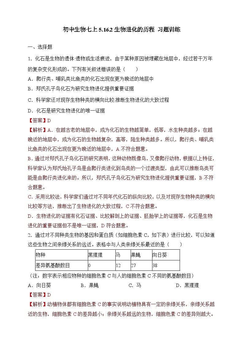 苏教版生物八上 5.16.2《生物进化的历程》课件+学案+练习（原卷版+解析卷）01