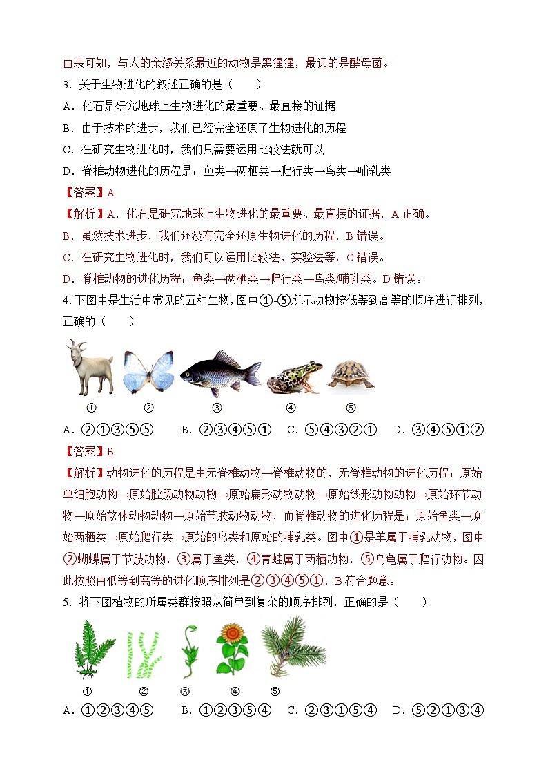 苏教版生物八上 5.16.2《生物进化的历程》课件+学案+练习（原卷版+解析卷）02