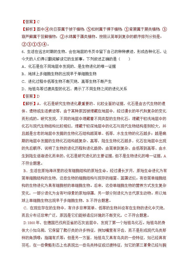 苏教版生物八上 5.16.2《生物进化的历程》课件+学案+练习（原卷版+解析卷）03