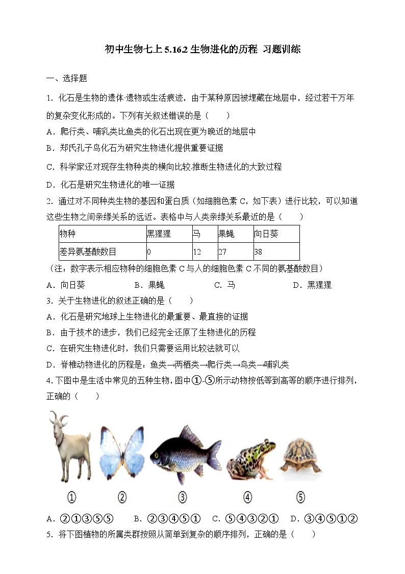 苏教版生物八上 5.16.2《生物进化的历程》课件+学案+练习（原卷版+解析卷）01