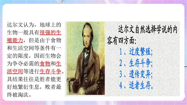 苏教版生物八上 5.16.3《生物进化的学说》课件+学案+练习（原卷版+解析卷）05