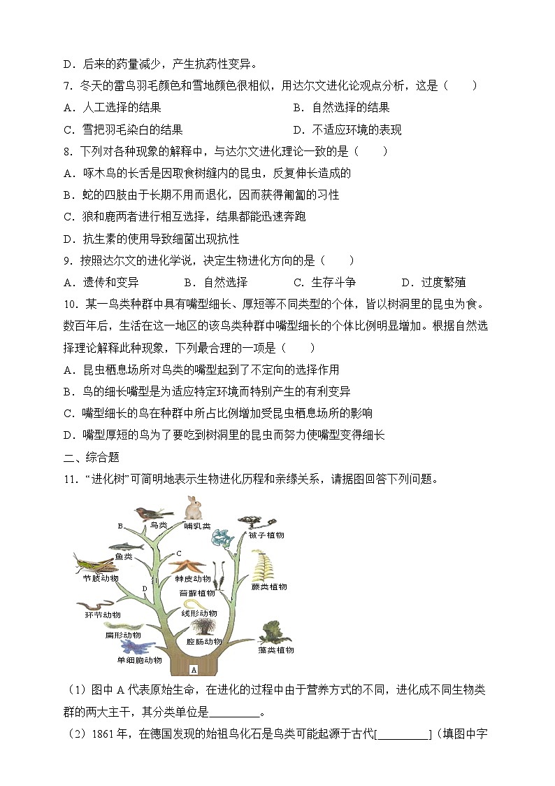 苏教版生物八上 5.16.3《生物进化的学说》课件+学案+练习（原卷版+解析卷）02