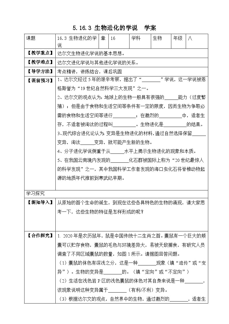 苏教版生物八上 5.16.3《生物进化的学说》课件+学案+练习（原卷版+解析卷）01