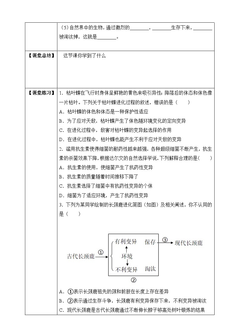 苏教版生物八上 5.16.3《生物进化的学说》课件+学案+练习（原卷版+解析卷）03