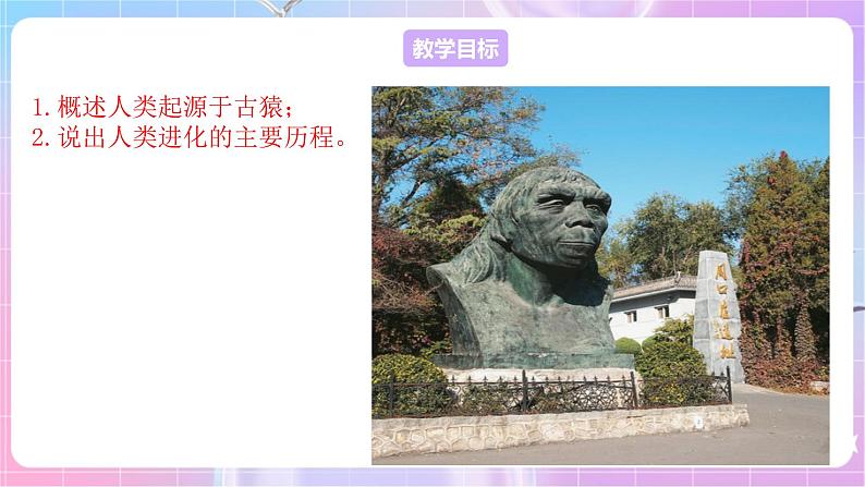 苏教版生物八上 5.16.4《人类的起源和进化》课件+学案+练习（原卷版+解析卷）02