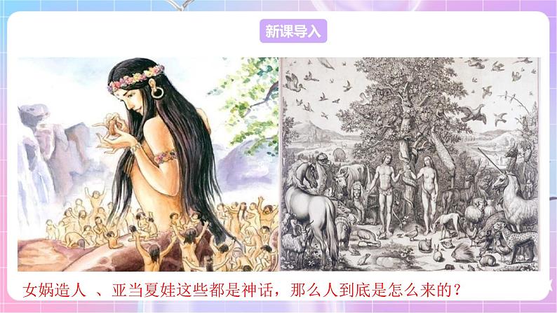 苏教版生物八上 5.16.4《人类的起源和进化》课件+学案+练习（原卷版+解析卷）03