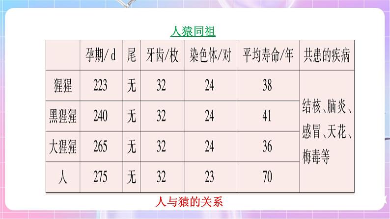 苏教版生物八上 5.16.4《人类的起源和进化》课件+学案+练习（原卷版+解析卷）07