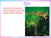 苏教版生物八上 6.17.1《动物运动的形式和能量供应》课件+学案+练习（原卷版+解析卷）
