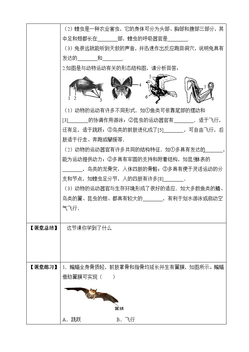 苏教版生物八上 6.17.1《动物运动的形式和能量供应》课件+学案+练习（原卷版+解析卷）02