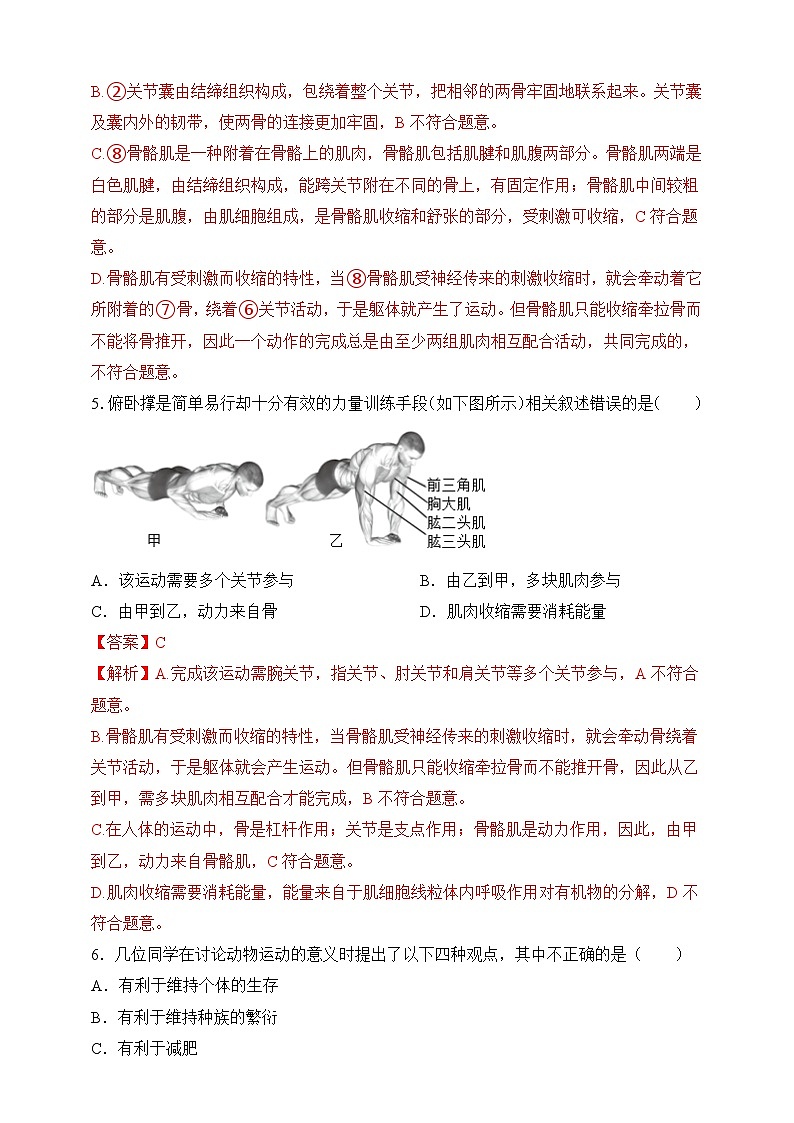 苏教版生物八上 6.17.2《动物的运动依赖于一定的结构》课件+学案+练习（原卷版+解析卷）03