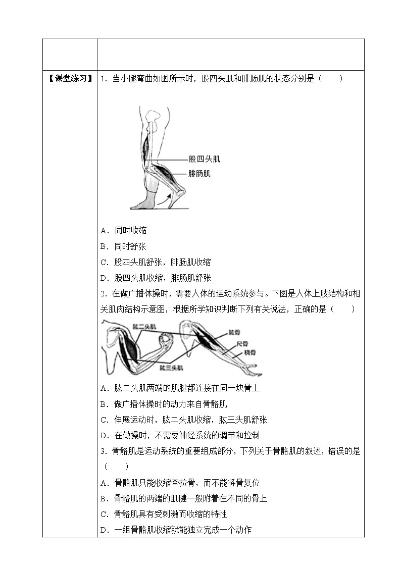 苏教版生物八上 6.17.2《动物的运动依赖于一定的结构》课件+学案+练习（原卷版+解析卷）03