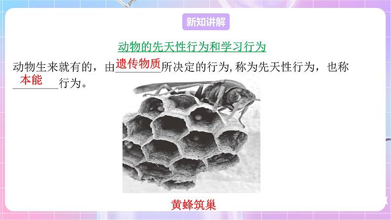 苏教版生物八上 6.18.2《动物行为的生理基础》课件+学案+练习（原卷版+解析卷）03